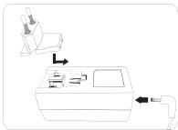 PARROT DIA - Mover - 3