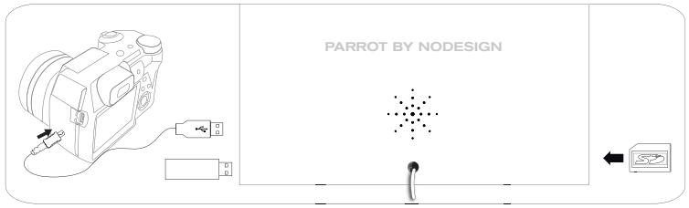 PARROT DIA - 將相框作為存儲設備使用 - 2