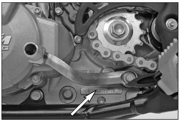 KTM 250 EXC-F SIX DAYS - ENVIRONMENT - 2