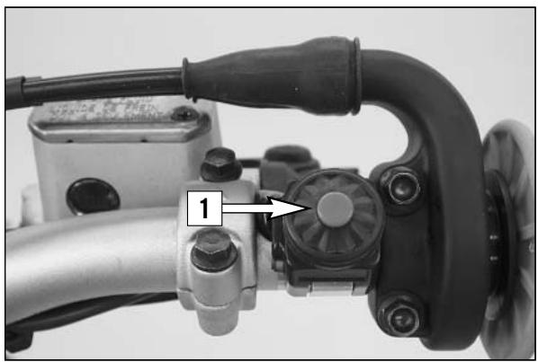 KTM 250 EXC-F SIX DAYS - Flasher switch - 3