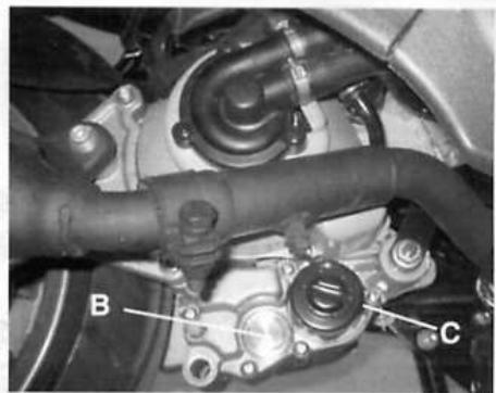 PIAGGIO X9 EVOLUTION 125 - X9 125-200 - 3