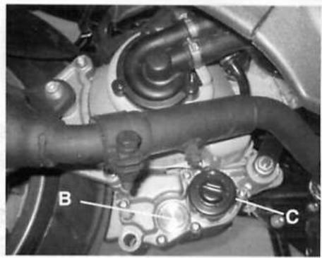 PIAGGIO X9 EVOLUTION 125-200 - X9 125-200 - 3