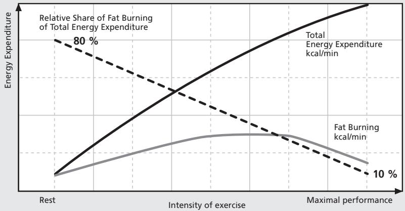 SUUNTO TRAINING GUIDEBOOK - SUITABLE TRAINING INTENSITY - 1