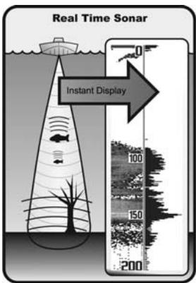 HUMMINBIRD 141C - How Sonar Works - 1