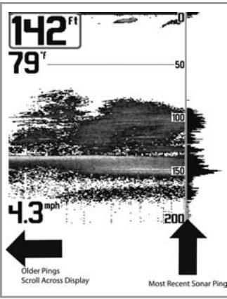 HUMMINBIRD 141C - Views - 2