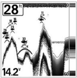 HUMMINBIRD 141C - Sensitivity - 3