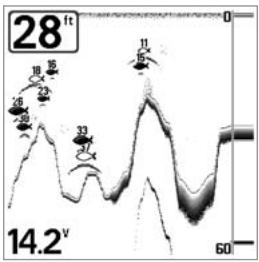 HUMMINBIRD 141C - Sensitivity - 1