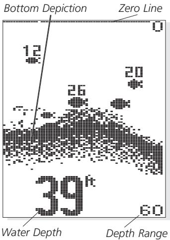 HUMMINBIRD 150SX - What You See On-Screen - 1