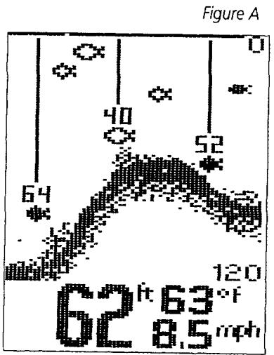 HUMMINBIRD 250BX - Visualisation a l'ecran - 1
