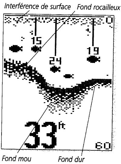 HUMMINBIRD 250BX - Visualisation a l'ecran - 1