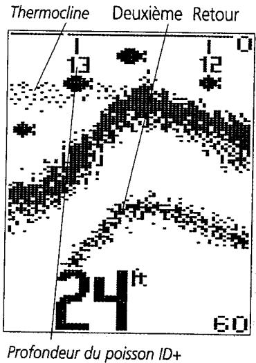 HUMMINBIRD 250BX - Utilisation du 250DX - 1