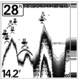 HUMMINBIRD 383C - Sensitivity - 3