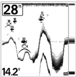 HUMMINBIRD 383C - Sensitivity - 2