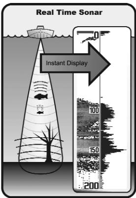HUMMINBIRD 383C - How Sonar Works - 1