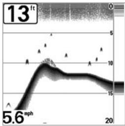 HUMMINBIRD 383C - Real Time Sonar (RTS®) Window - 2