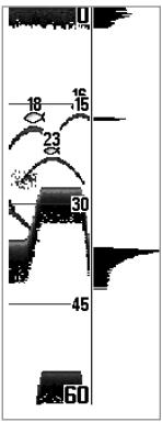 HUMMINBIRD 383C - Real Time Sonar (RTS®) Window - 2