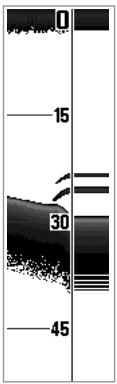 HUMMINBIRD 383C - Real Time Sonar (RTS®) Window - 1
