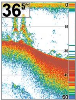 HUMMINBIRD 747C - Sensitivity - 2