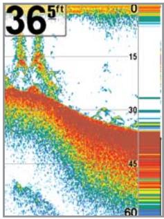 HUMMINBIRD 747C - Real Time Sonar (RTS®) Window - 1
