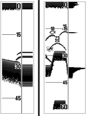 HUMMINBIRD 747C - Real Time Sonar (RTS®) Window - 1