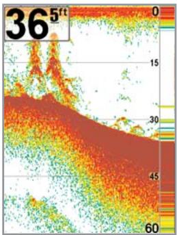 HUMMINBIRD 747C - Sensitivity - 3