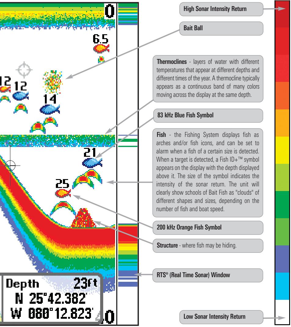 HUMMINBIRD 747C - What's On the Display - 3