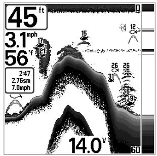 HUMMINBIRD 787C2 - Restore Defaults - 2