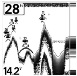 HUMMINBIRD 787C2 - Sensitivity - 3