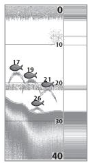 HUMMINBIRD 997C SI COMBO - Real Time Sonar (RTS®) Window - 1