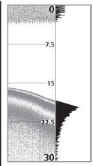 HUMMINBIRD 997C SI COMBO - Real Time Sonar (RTS®) Window - 2