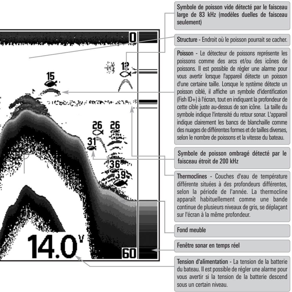 HUMMINBIRD SERIE 500 - Représentations à l'écran - 2