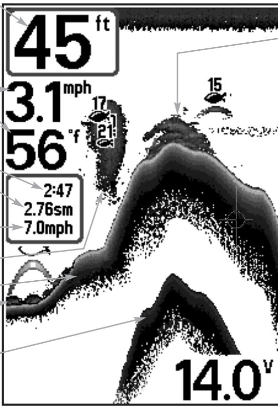 HUMMINBIRD SERIE 500 - Représentations à l'écran - 1