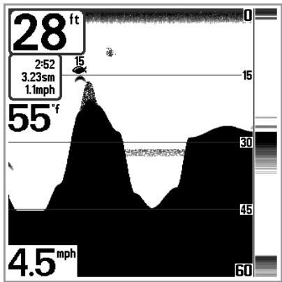 HUMMINBIRD SERIE 500 - Représentation du fond - 4