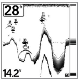 HUMMINBIRD 717 - Sensitivity - 2