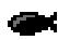 HUMMINBIRD 717 - Fish ID+TM - 1