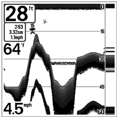 HUMMINBIRD 717 - Bottom Presentation - 2