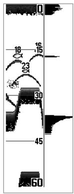 HUMMINBIRD 717 - Real Time Sonar (RTS®) Window - 2