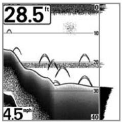 HUMMINBIRD 717 - Real Time Sonar (RTS®) Window - 1
