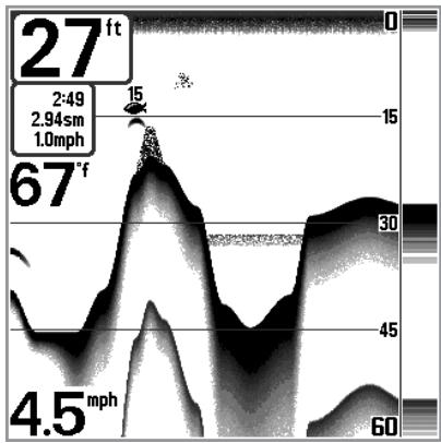 HUMMINBIRD 717 - Bottom Presentation - 3