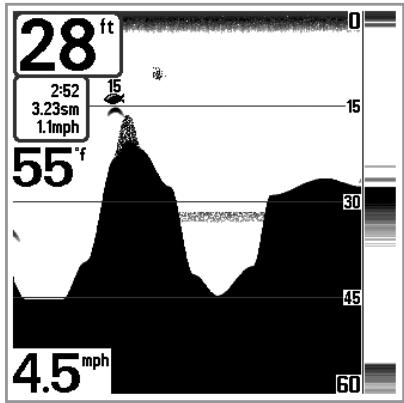 HUMMINBIRD 717 - Bottom Presentation - 5