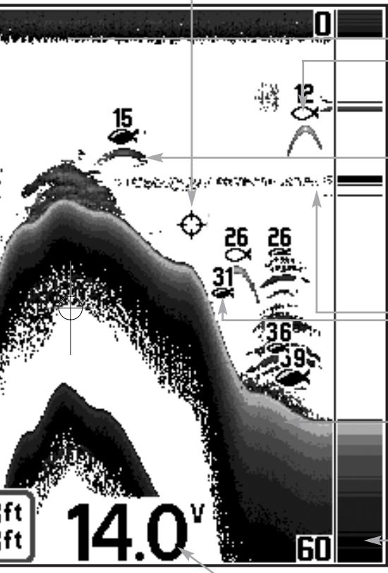 HUMMINBIRD 717 - What's On the Display - 2