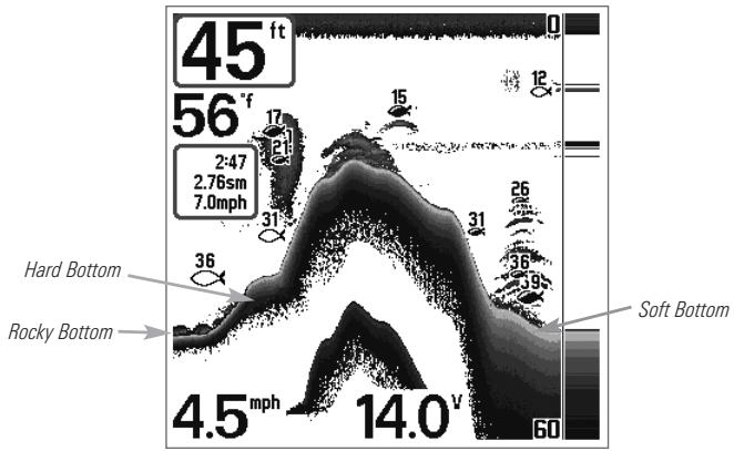 HUMMINBIRD 717 - Bottom Presentation - 1