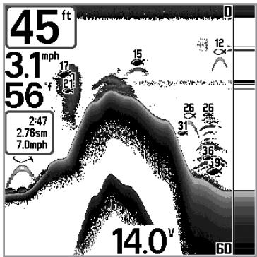 HUMMINBIRD 717 - (Advanced, Sonar view only) - 3