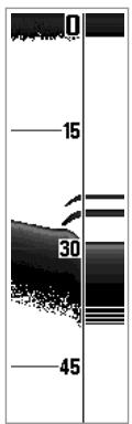 HUMMINBIRD 717 - Real Time Sonar (RTS®) Window - 1
