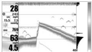 HUMMINBIRD 931C DF - REAL TIME SONAR (RTS®) WINDOW - 1