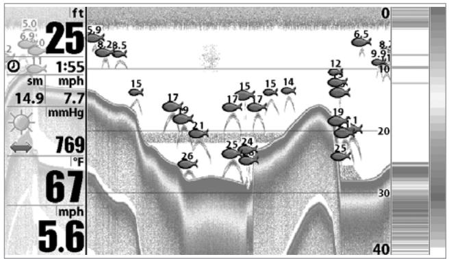 HUMMINBIRD 931C DF - RESTORE DEFAULTS - 1