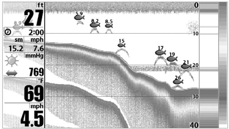 HUMMINBIRD 931C DF - BOTTOM PRESENTATION - 1