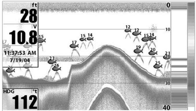 HUMMINBIRD 931C DF - RESTORE DEFAULTS - 2