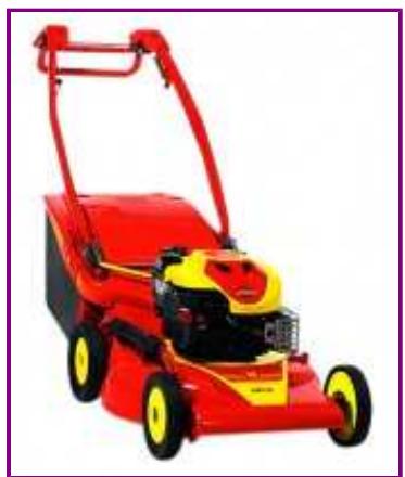 WOLF RM53B - RM53B - Petrol collecting/mulching mower 53 cm - 1