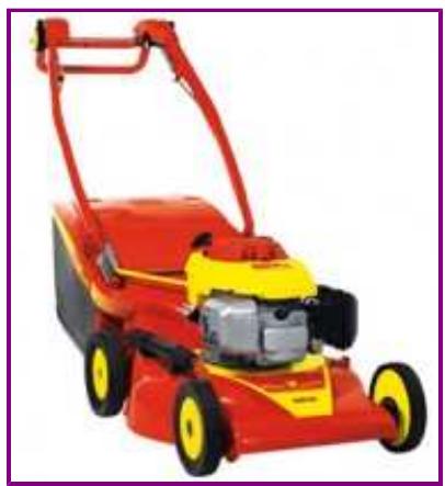 WOLF RM53H - RM53H - Petrol collecting/mulching mower 53 cm - 1